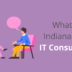 Discover how Indianapolis businesses can benefit from hiring an IT consultant. Then, discover the qualities to be aware of when choosing a local consulting service.